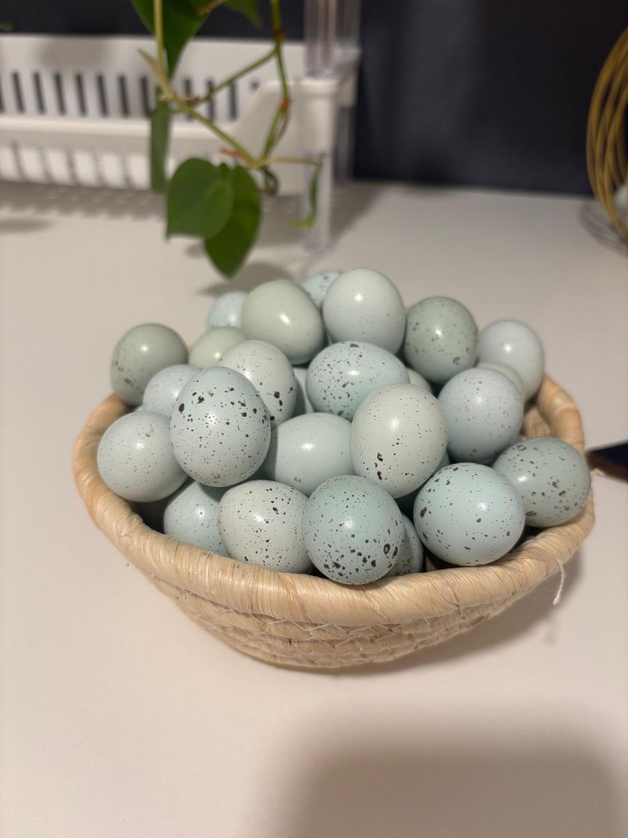 A woven basket full of speckled blue Celadon quail eggs